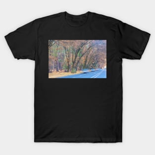 Yosemite Autumn T-Shirt